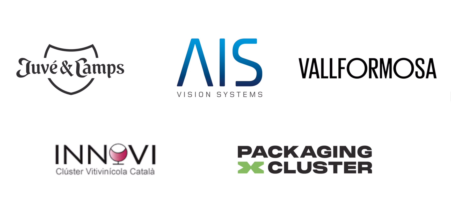 VAVIT Project: Artificial Vision Implemented in the wine sector to Ensure an Excellent Packaging Process