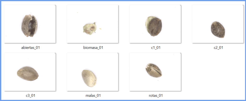 Deeplearning de producto orgánico – clasificación de semillas –
